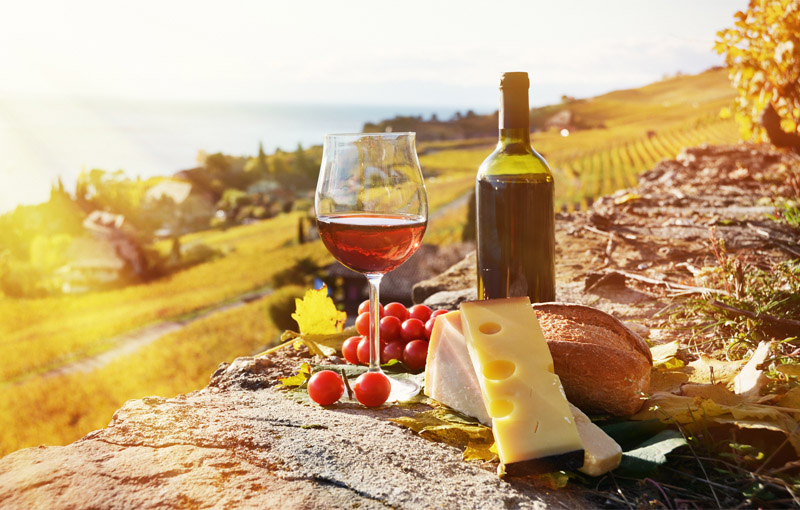 13 Ruijs Travel - South Western France - wine & cheese