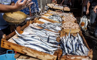 11 Ruijs Travel - Italy - Sicily - Catania Fish Market