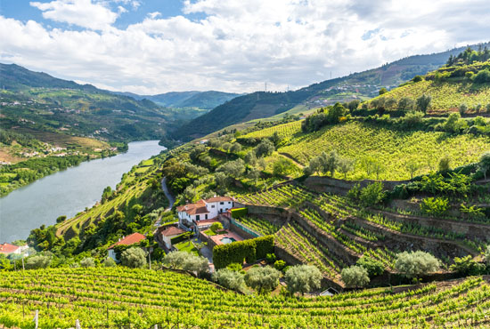 Ruijs Travel - Portugal - Douro
