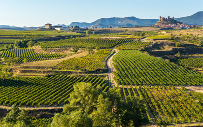 Ruijs Travel-Spain-Rioja 5