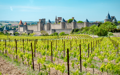 Ruijs Travel - France - Carcasonne 5