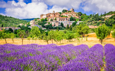 Ruijs Travel-France-Provence 8