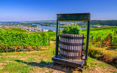 Ruijs Travel - Germany - Vineyards Rhine Valley Rüdesheim 3
