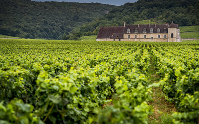 12 Ruijs Travel - South Western France - castle & wine